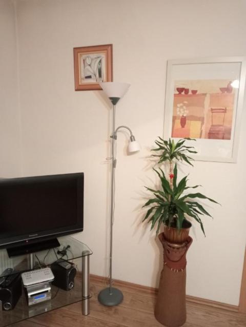Apartament Stroma 4 ザコパネ エクステリア 写真